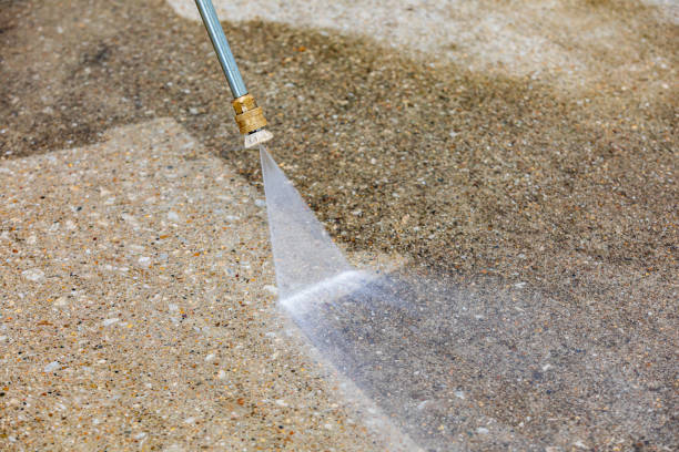 Best Driveway Pressure Washing  in Maypearl, TX